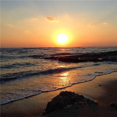 澳门威斯尼斯WNS888入口手机app下载